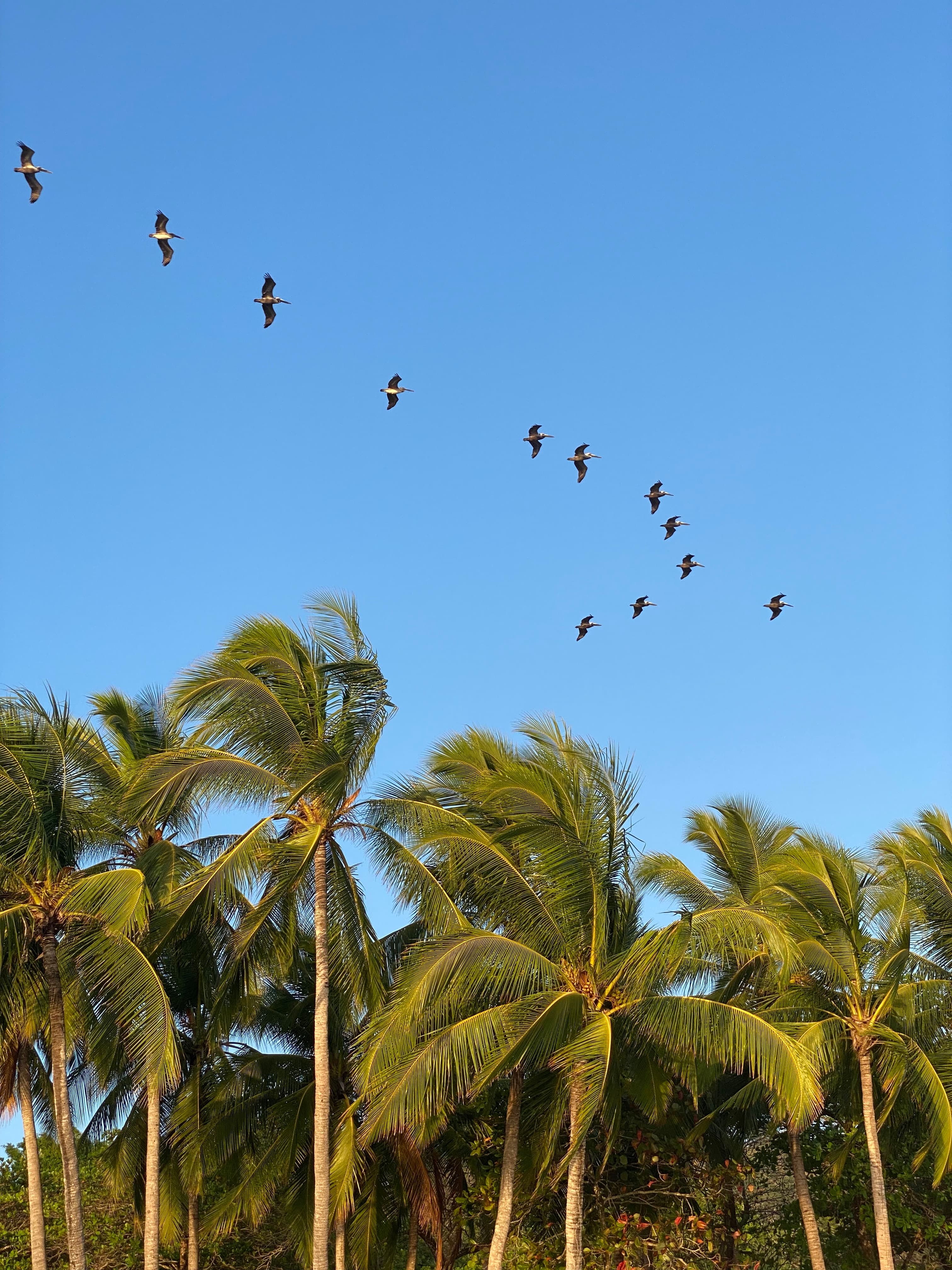 Costa Rica - Cover